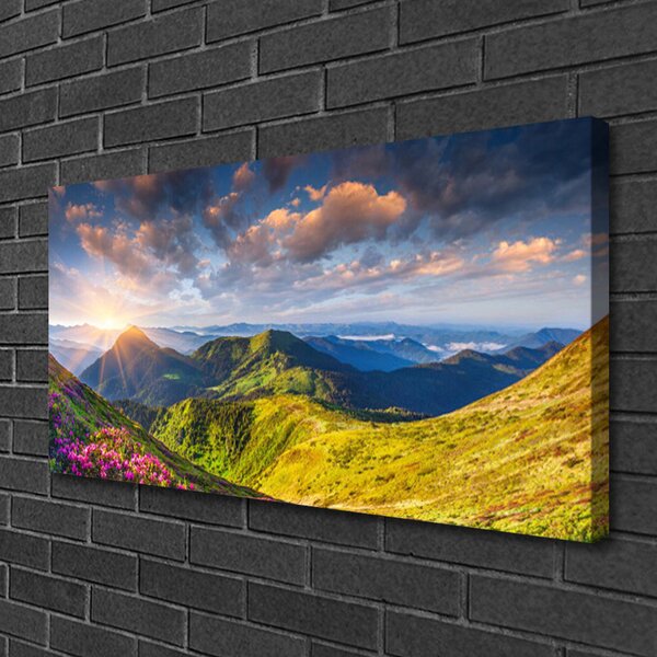 Tablou pe panza canvas Munte Sun Meadow Peisaj Galben Gri Albastru Verde