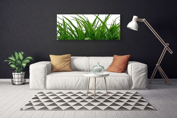 Tablou pe panza canvas Iarbă Natura verde