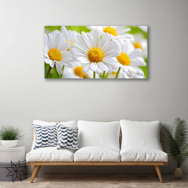 Tablou pe panza canvas Daisy Floral Galben Alb