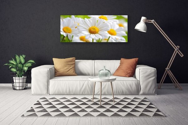 Tablou pe panza canvas Daisy Floral Galben Alb