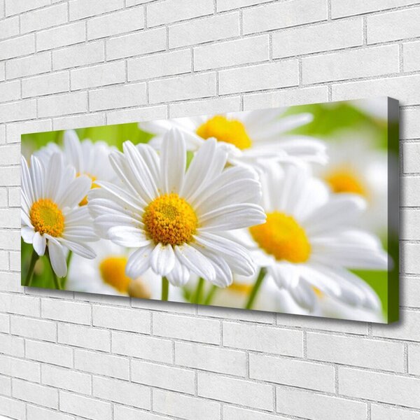 Tablou pe panza canvas Daisy Floral Galben Alb