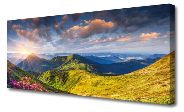 Tablou pe panza canvas Munte Sun Meadow Peisaj Galben Gri Albastru Verde