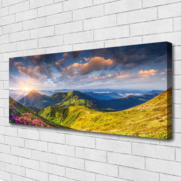 Tablou pe panza canvas Munte Sun Meadow Peisaj Galben Gri Albastru Verde