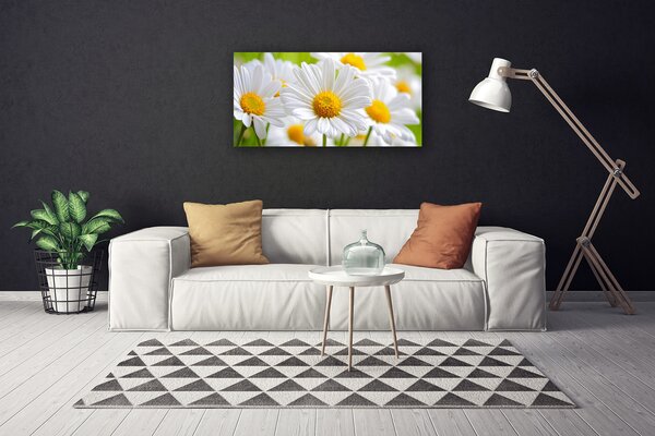 Tablou pe panza canvas Daisy Floral Galben Alb