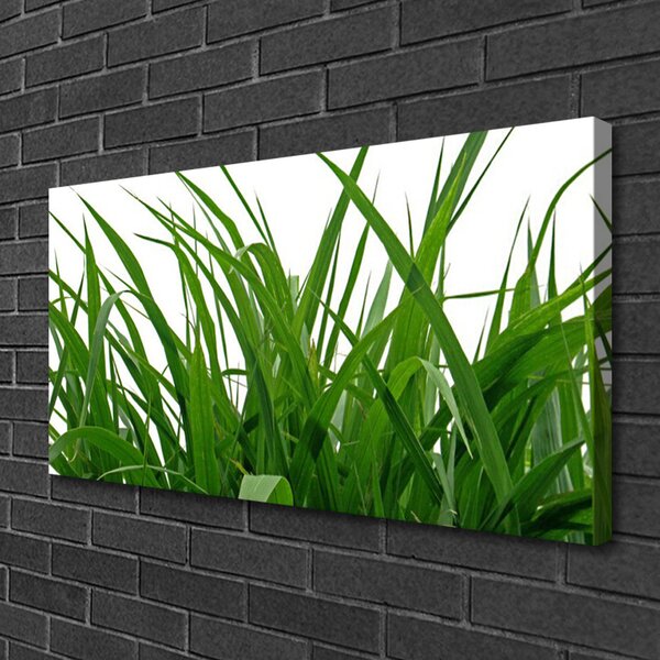 Tablou pe panza canvas Iarbă Natura verde