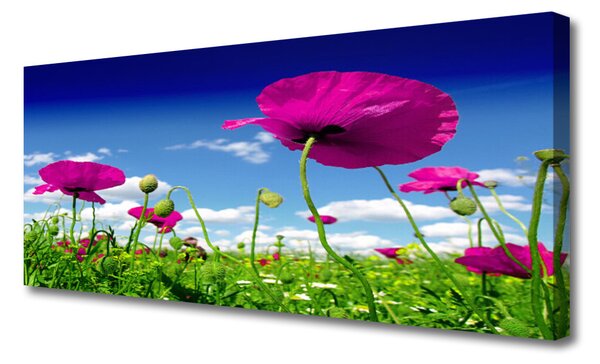 Tablou pe panza canvas Flori Meadow Natura Roșu Verde