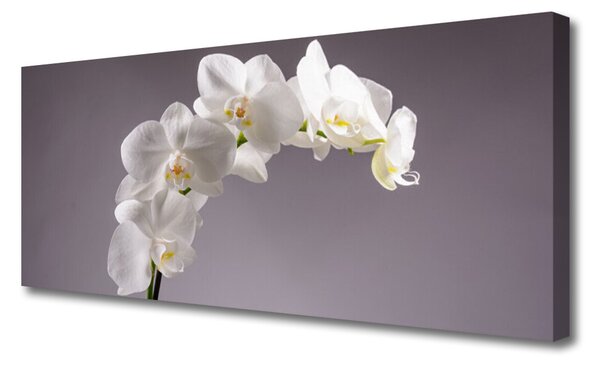 Tablou pe panza canvas Flori Floral alb