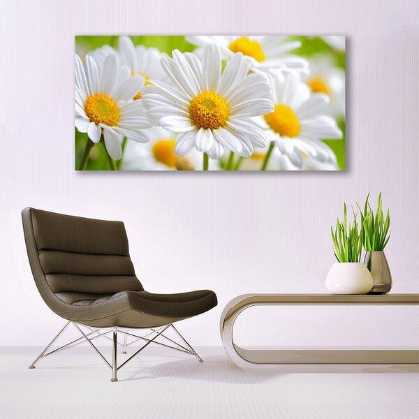 Tablou pe sticla Daisy Floral Galben Alb