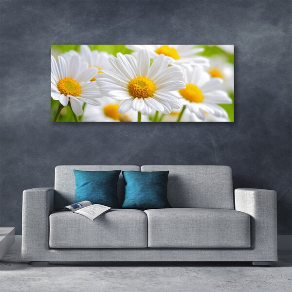 Tablou pe panza canvas Daisy Floral Galben Alb