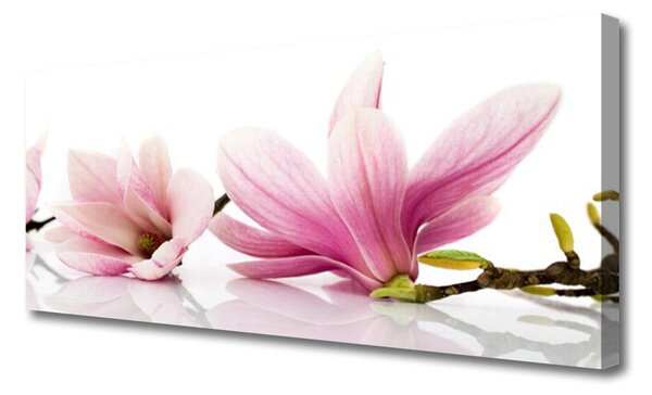Tablou pe panza canvas Flori roz Floral