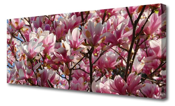 Tablou pe panza canvas Ramuri Flori Floral Brown roz