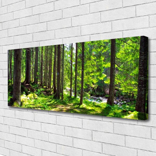 Tablou pe panza canvas Natural Pădurea Verde Maro
