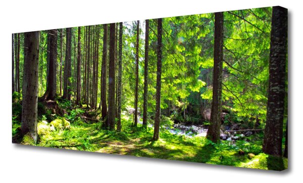 Tablou pe panza canvas Natural Pădurea Verde Maro