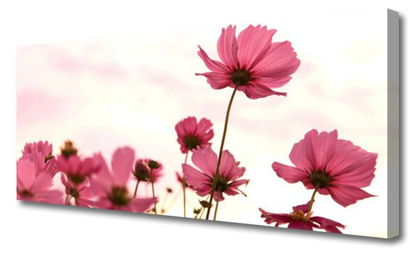 Tablou pe panza canvas Flori roz Floral