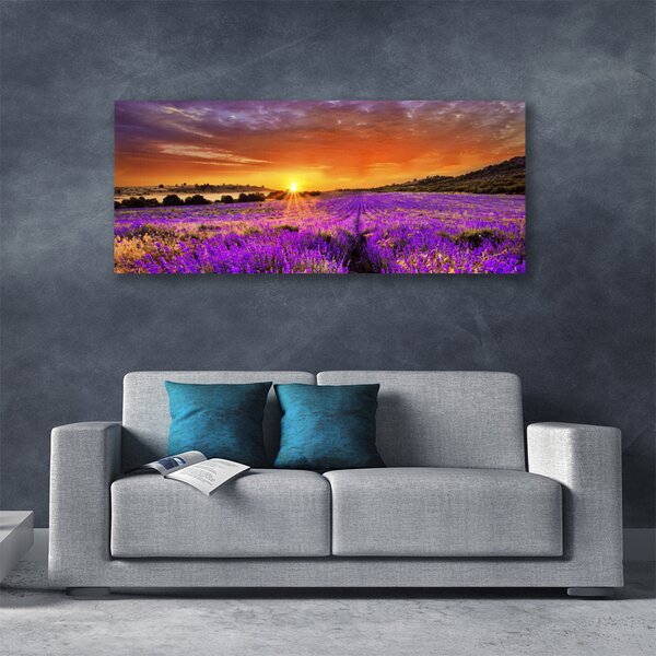 Tablou pe panza canvas Soare Meadow Flori Natura galben roz