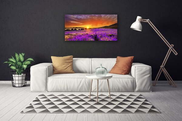 Tablou pe panza canvas Soare Meadow Flori Natura galben roz
