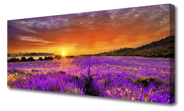 Tablou pe panza canvas Soare Meadow Flori Natura galben roz