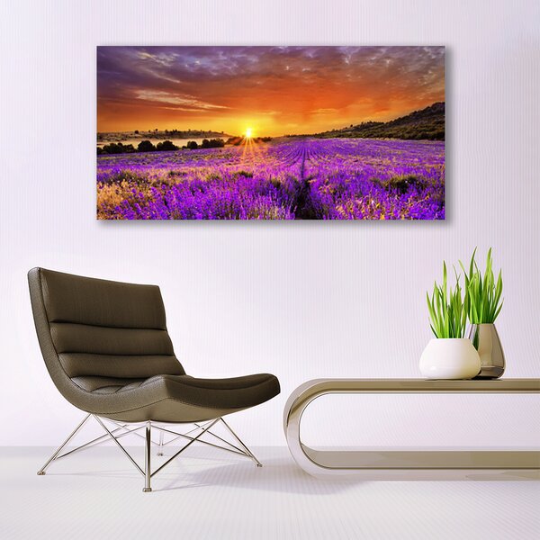 Tablou pe panza canvas Soare Meadow Flori Natura galben roz