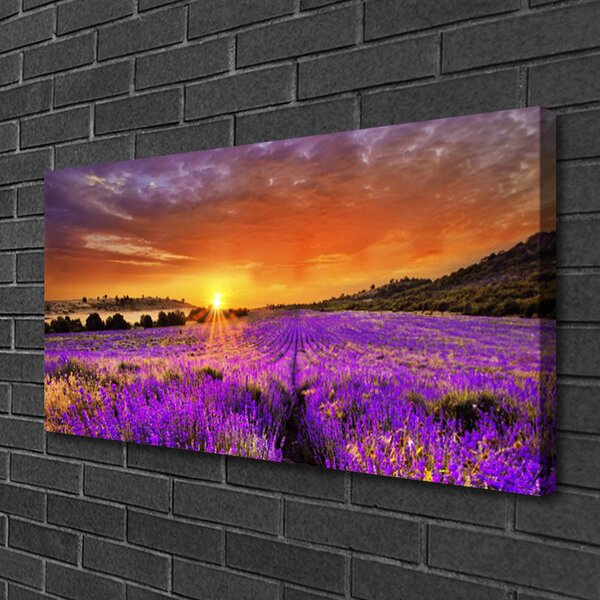 Tablou pe panza canvas Soare Meadow Flori Natura galben roz
