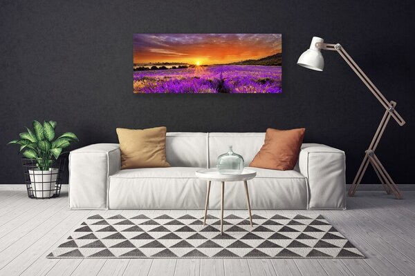 Tablou pe panza canvas Soare Meadow Flori Natura galben roz