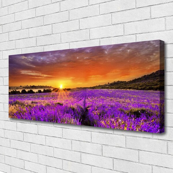 Tablou pe panza canvas Soare Meadow Flori Natura galben roz