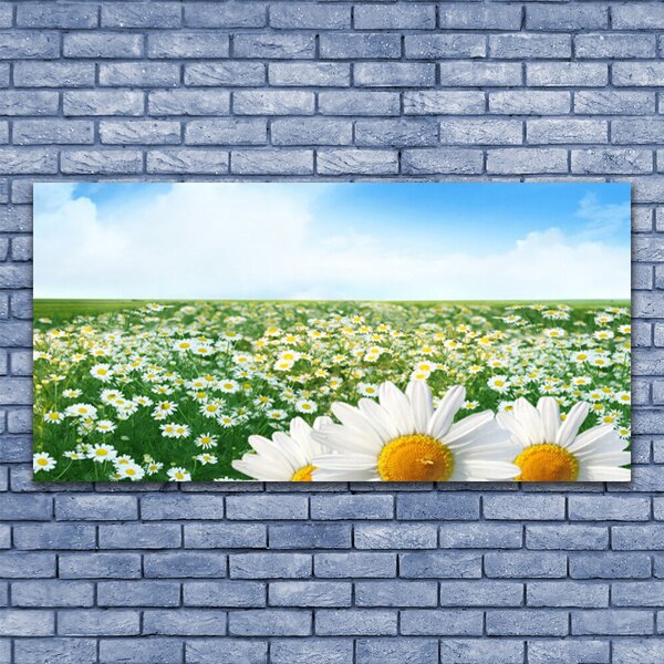 Tablou pe panza canvas Meadow Floral Verde Alb Margarete Galben