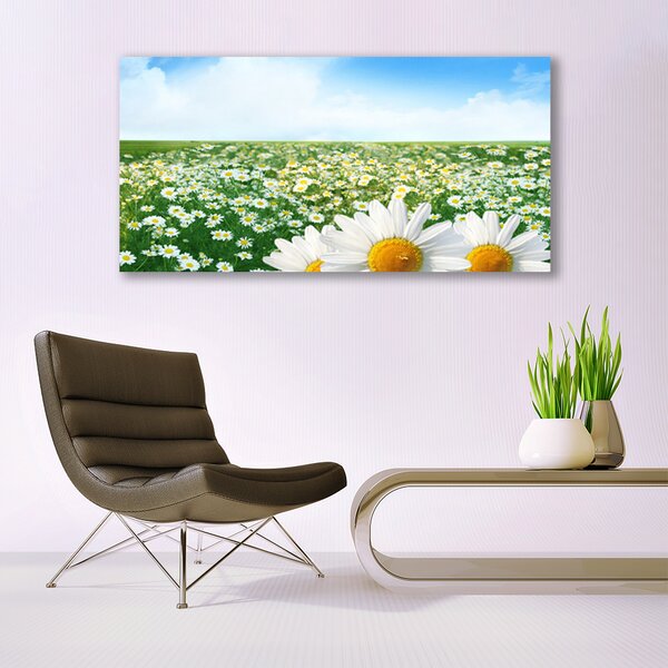 Tablou pe panza canvas Meadow Floral Verde Alb Margarete Galben