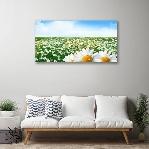 Tablou pe panza canvas Meadow Floral Verde Alb Margarete Galben