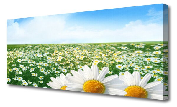 Tablou pe panza canvas Meadow Floral Verde Alb Margarete Galben