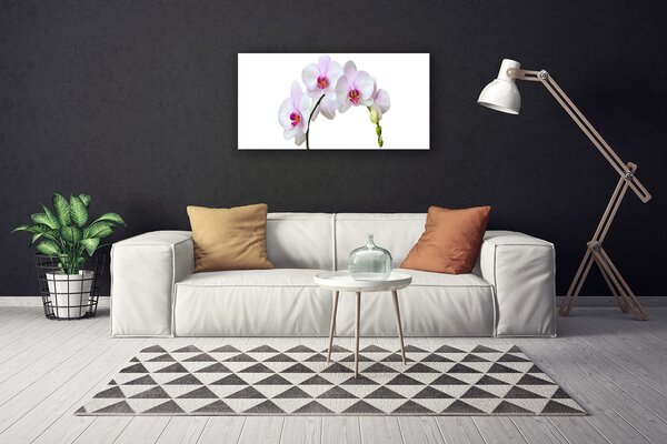 Tablou pe panza canvas Flori Floral Alb Roz