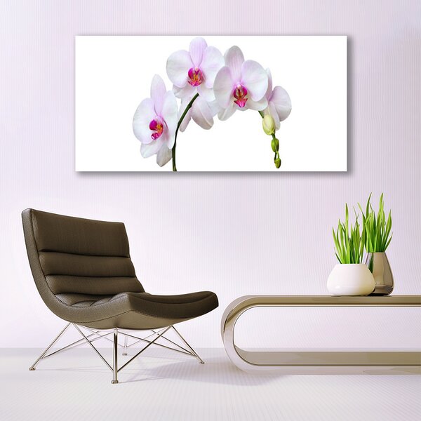 Tablou pe panza canvas Flori Floral Alb Roz
