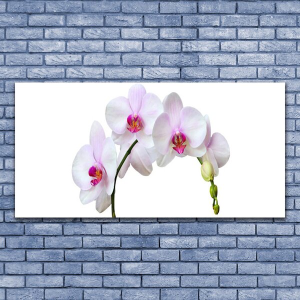 Tablou pe panza canvas Flori Floral Alb Roz