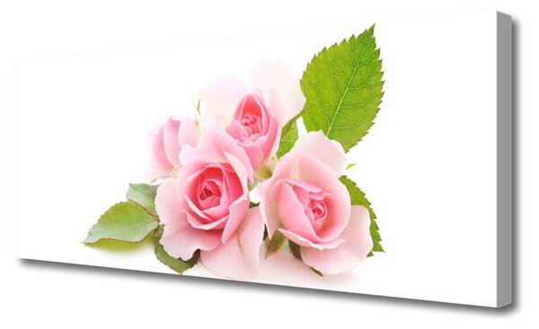 Tablou pe panza canvas Trandafiri roz Floral