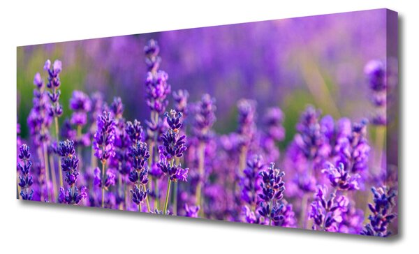 Tablou pe panza canvas Flori Floral violet