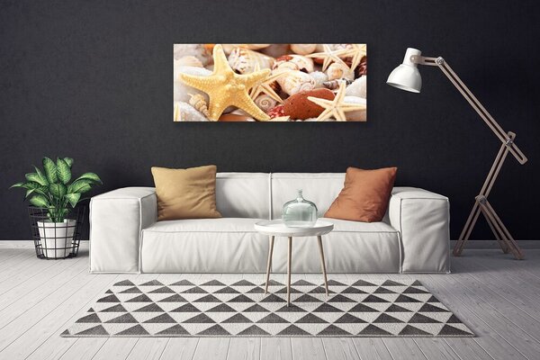 Tablou pe panza canvas Scoici seastar Art Galben Alb Brun