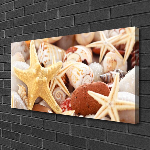 Tablou pe panza canvas Scoici seastar Art Galben Alb Brun