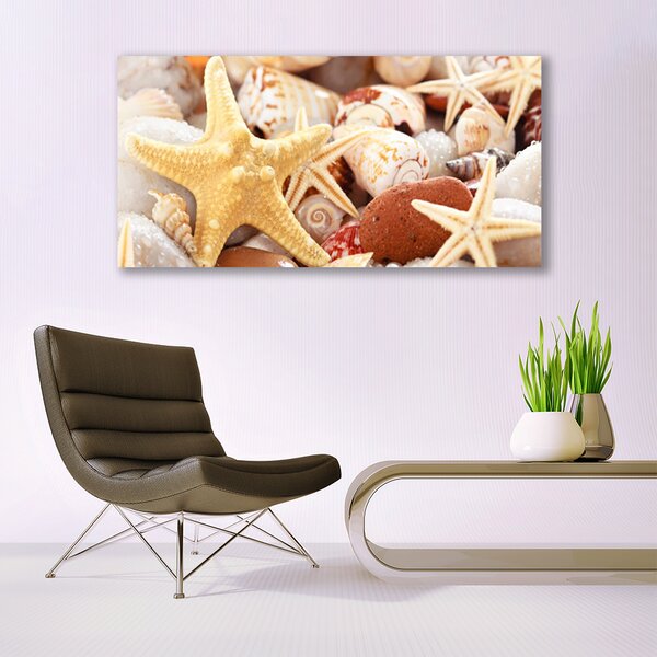 Tablou pe panza canvas Scoici seastar Art Galben Alb Brun