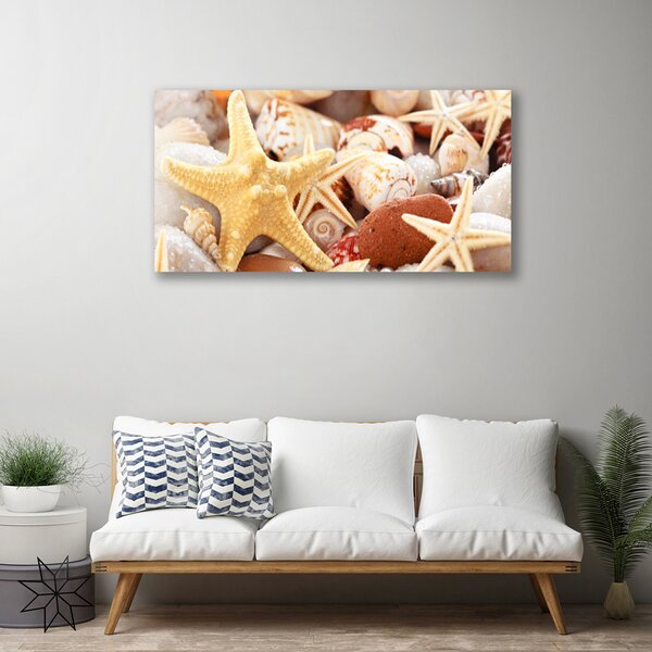 Tablou pe panza canvas Scoici seastar Art Galben Alb Brun