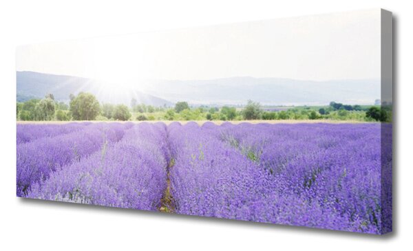 Tablou pe panza canvas Flori Meadow Natura Purple