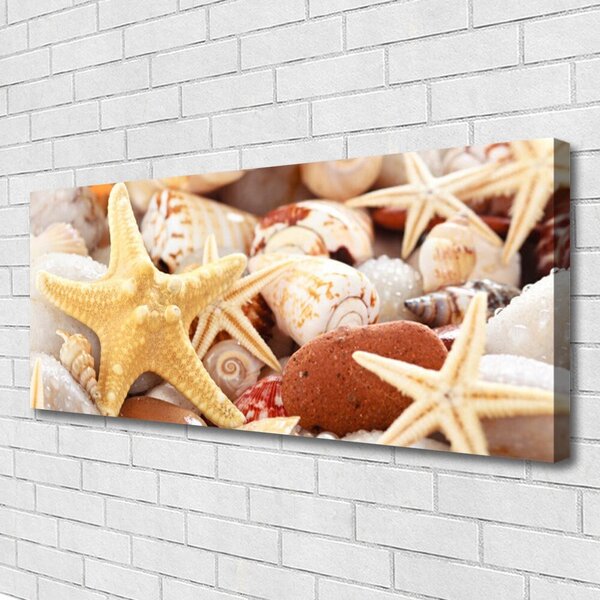 Tablou pe panza canvas Scoici seastar Art Galben Alb Brun