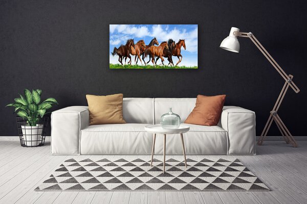 Tablou pe panza canvas Cai Animale Maro Alb
