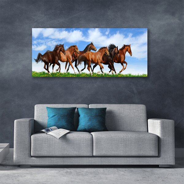 Tablou pe panza canvas Cai Animale Maro Alb