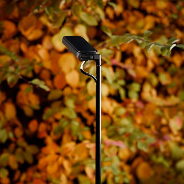 Luceplan Bornă luminoasă LED Flia, 120cm înălțime, negru, plastic, Negru, Plastic, Design