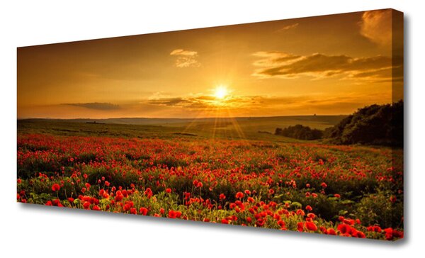 Tablou pe panza canvas Meadow Lake Flori Natura Galben Verde Roșu