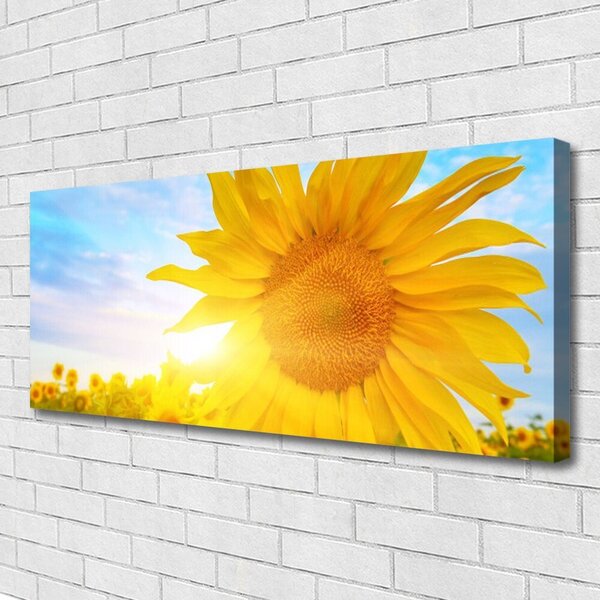 Tablou pe panza canvas Floarea soarelui Floral Galben