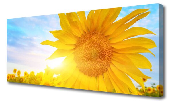 Tablou pe panza canvas Floarea soarelui Floral Galben