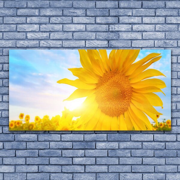 Tablou pe panza canvas Floarea soarelui Floral Galben