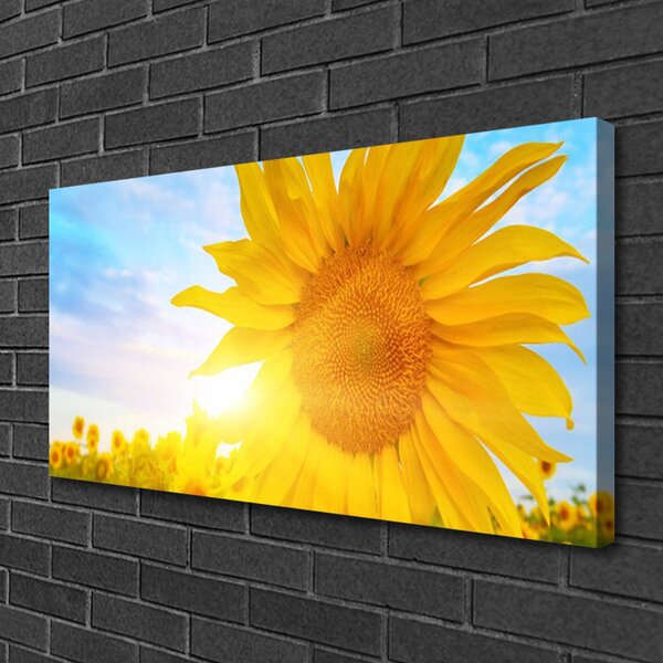 Tablou pe panza canvas Floarea soarelui Floral Galben