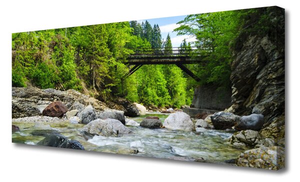Tablou pe panza canvas Forest Podul Lake Stones Peisaj Brun Verde Gri