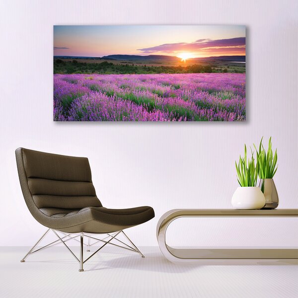 Tablou pe panza canvas Soare Meadow Flori Natura Galben Roz Verde